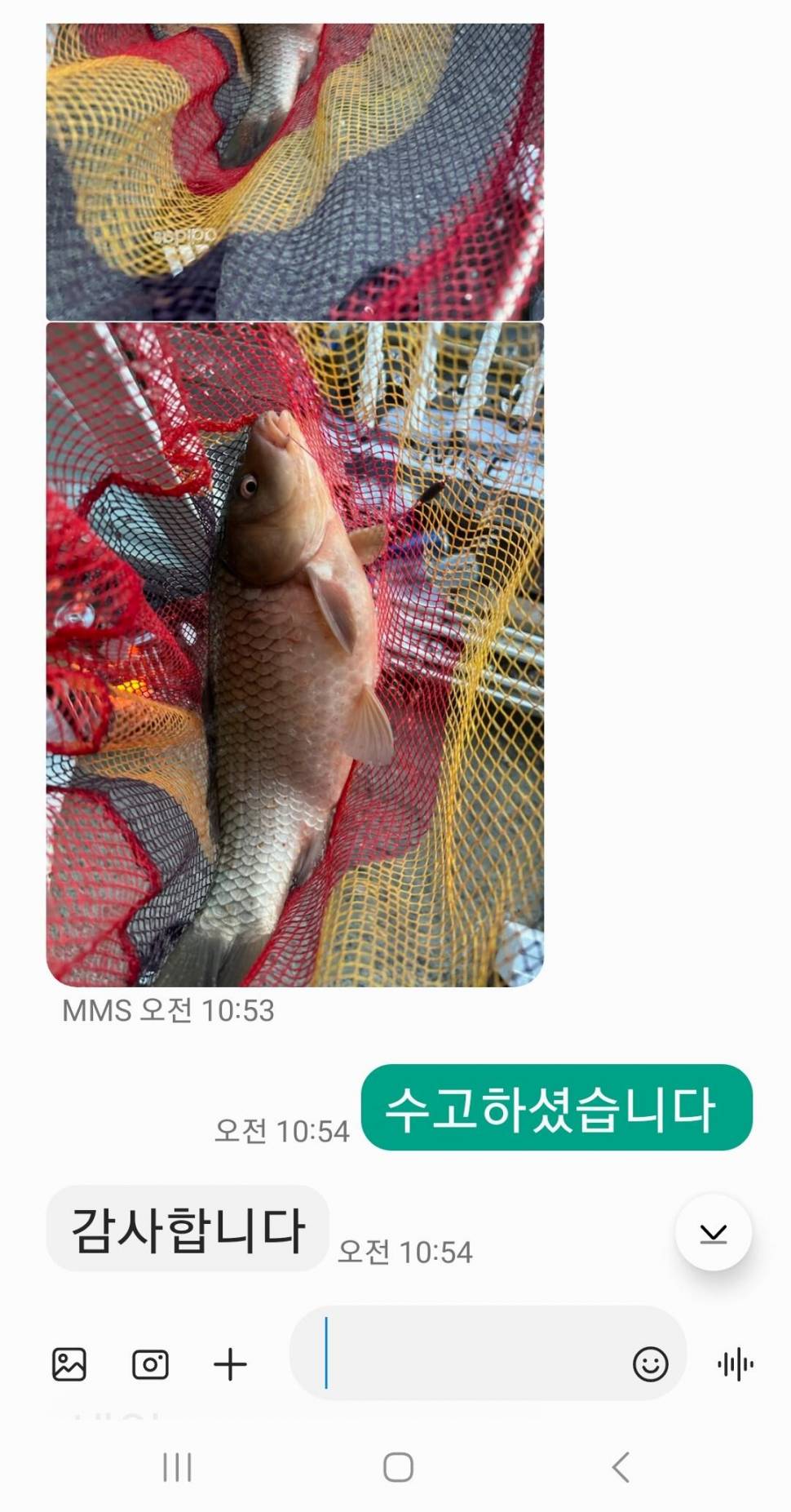 2024년 01월 셋째주 조황정보 용담낚시터사암지 (유료터정보 - 유료터점주조황)