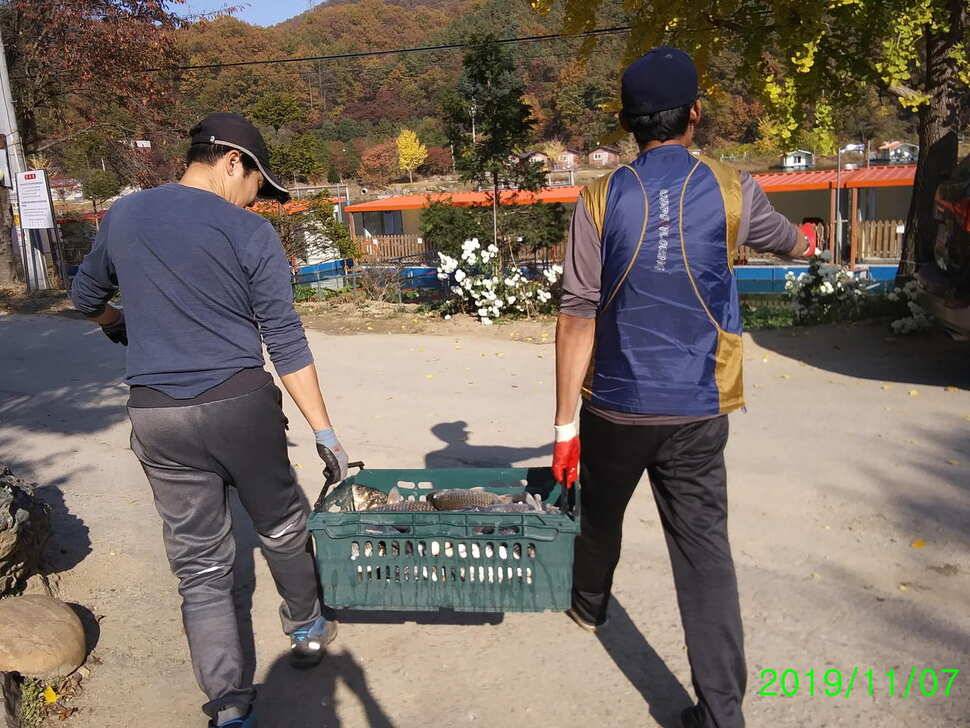 수곡낚시터 금일 자연산 토종붕어 초대량 방류 및 435 토종대물 포함 조황 소식 (유료터정보 - 유료터점주조황)