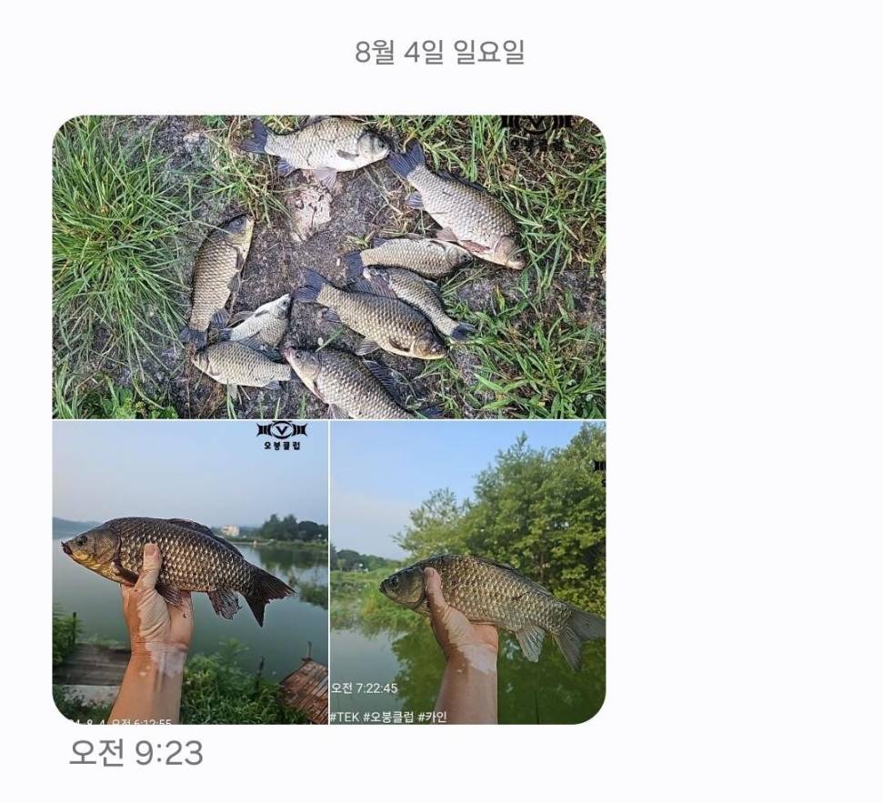 2024년 8월 둘째주 조황정보 용담낚시터사암지4짜 3마리 (유료터정보 - 유료터점주조황)