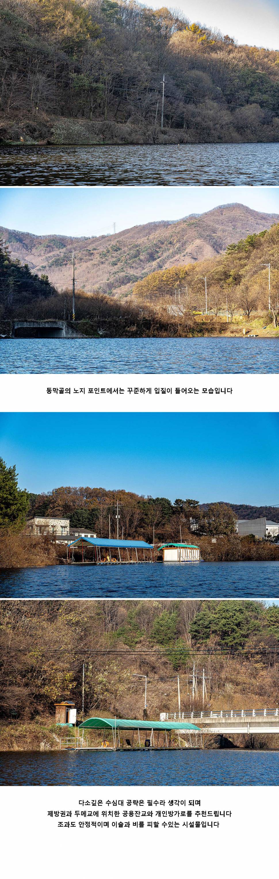 안성 두메낚시터 11월 20일 조황정보 (유료터정보 - 유료터점주조황)