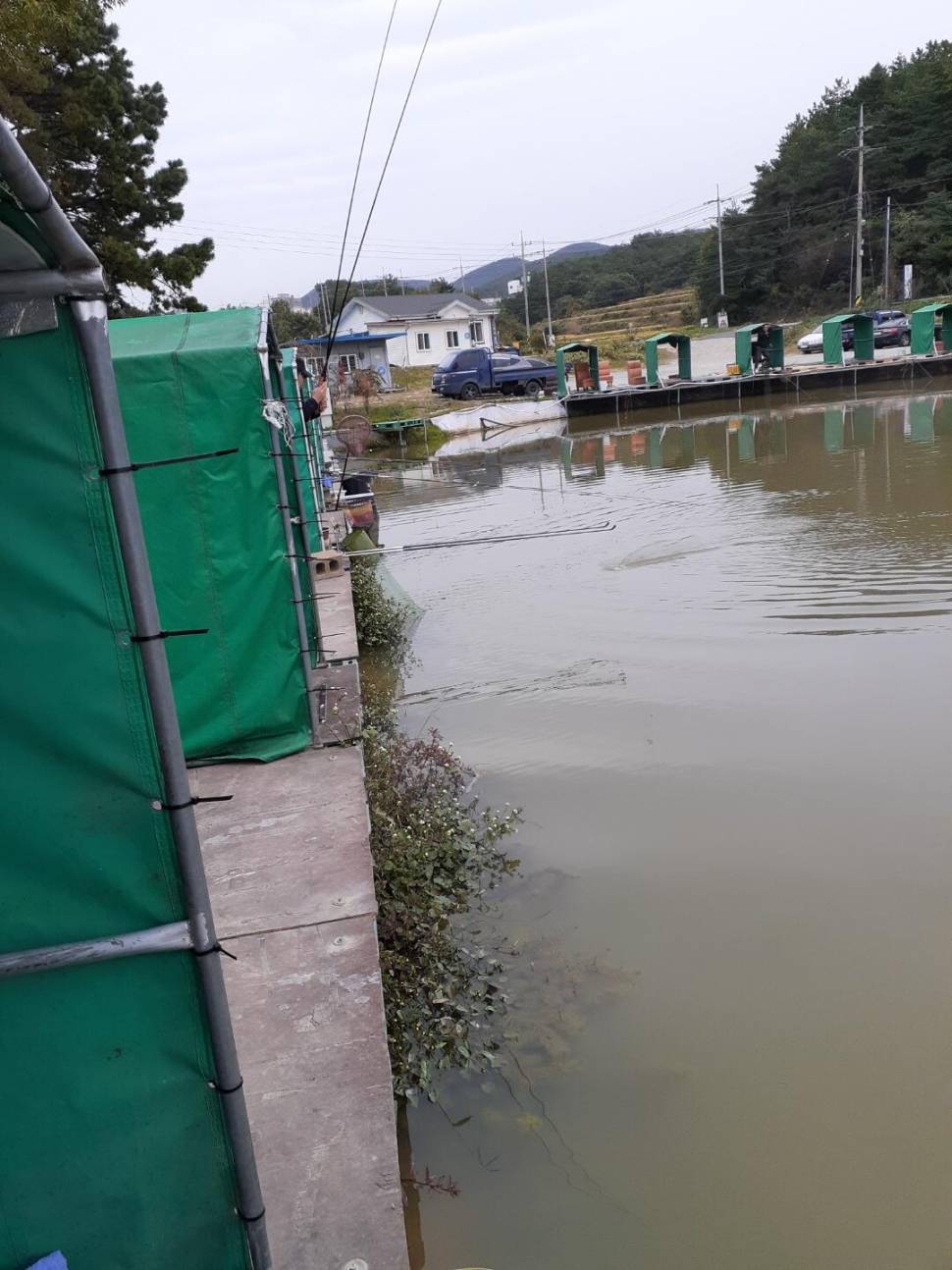 경주 동산낚시터붕어전용잡이터지난주 조황 (유료터정보 - 유료터점주조황)
