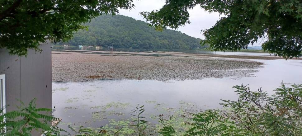 어우실지 선선하니 대물이 나오네요 땟깔이죽여요 (유료터정보 - 유료터점주조황)