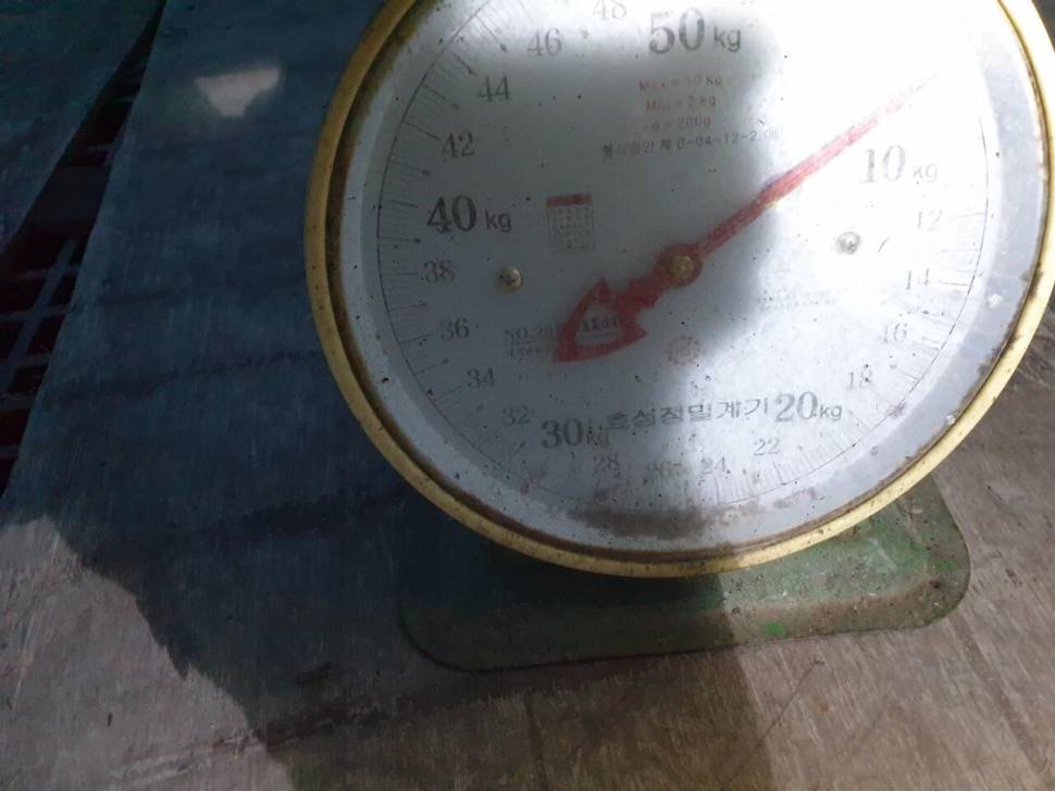 경주 동산낚시터붕어 전용잡이터지난주 조황 (유료터정보 - 유료터점주조황)