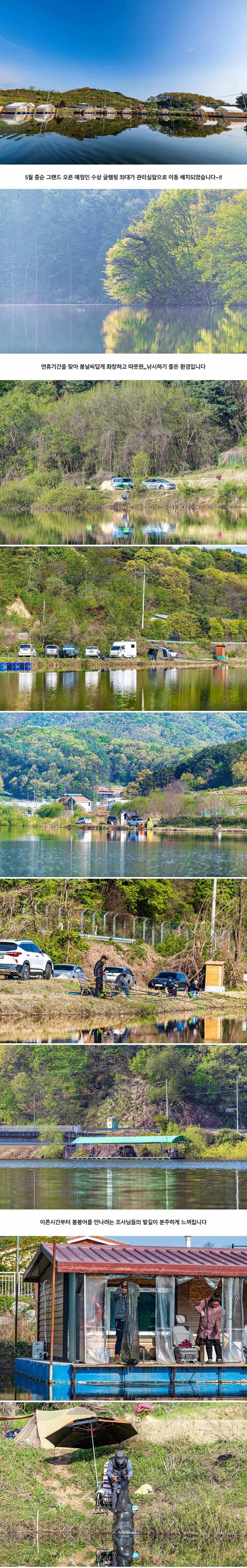 안성 두메낚시터 4월 30일 조황정보 (유료터정보 - 유료터점주조황)