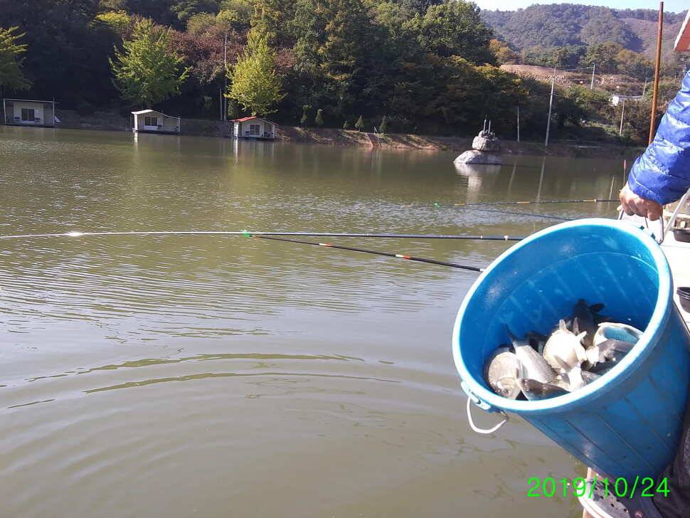 수곡낚시터 어제부터 낮시간에도 붕어들이 나와주네요 오늘 붕어방류 완료하였습니다 (유료터정보 - 유료터점주조황)