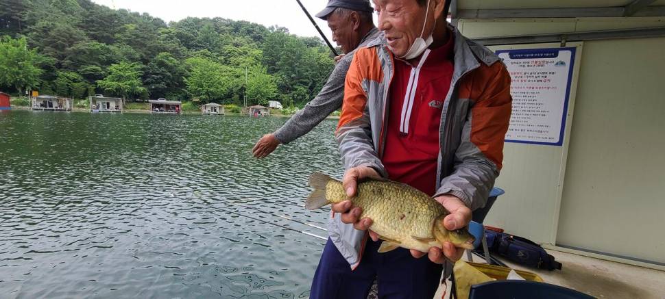 6월 첫주말 금 토요일 수곡낚시터 조황 및 붕어 방류 안내 (유료터정보 - 유료터점주조황)
