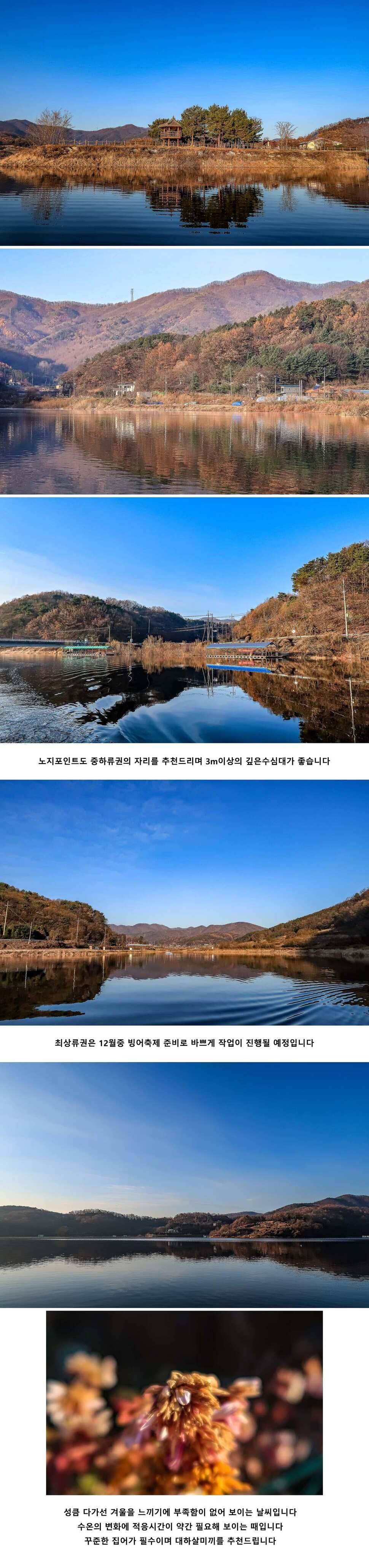 안성 두메낚시터 11월 30일 조황정보 (유료터정보 - 유료터점주조황)