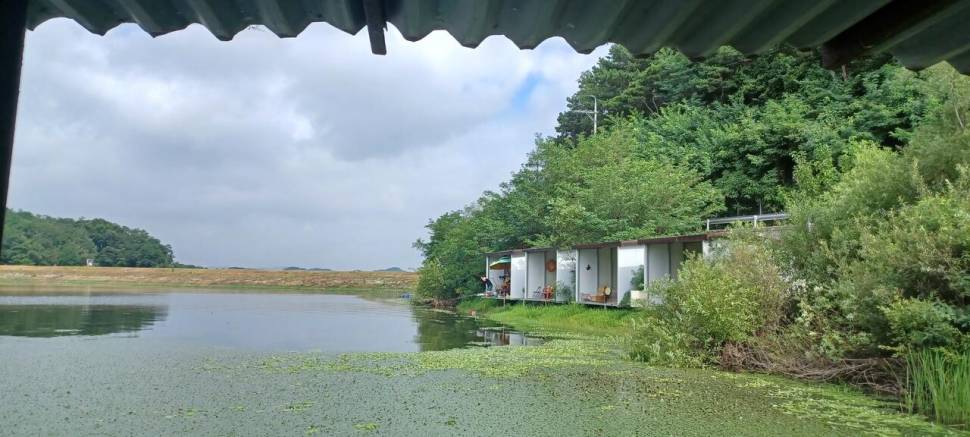 어우실지 입질이좋아요 현재모습입니다 노지15 2미터이상입니다 (유료터정보 - 유료터점주조황)