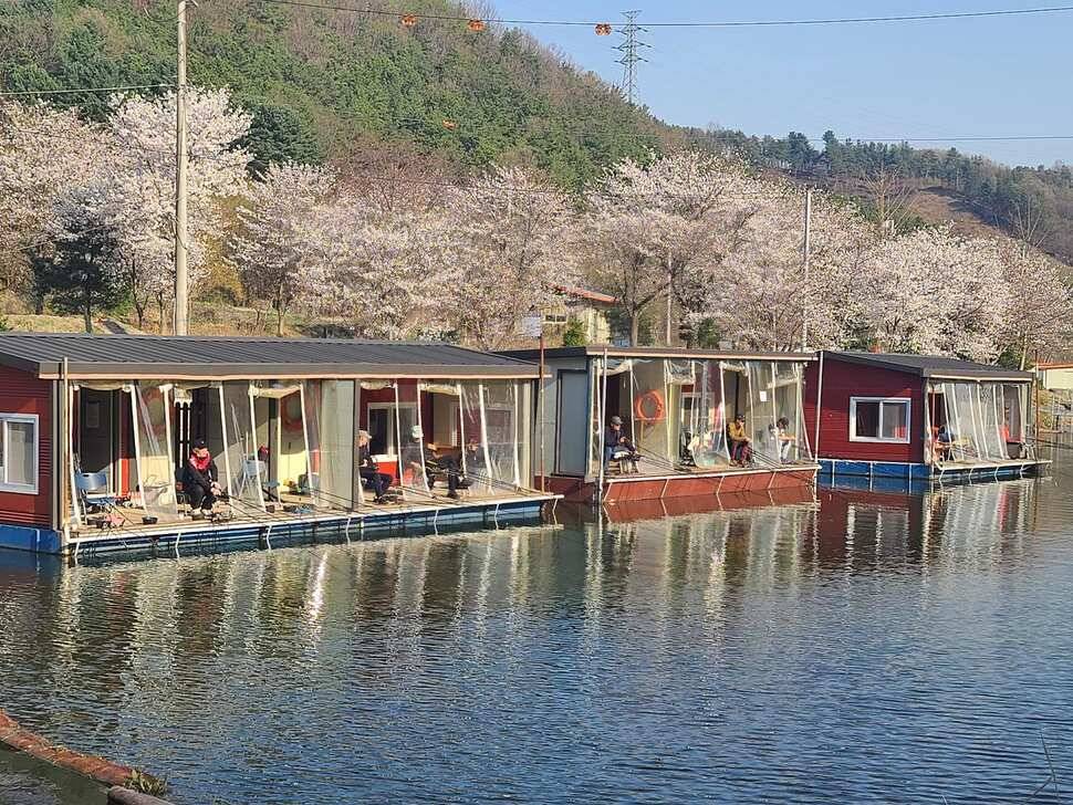 힐링 양평 수곡낚시터 월요일 조황 및 수상좌대 할인요금 안내 (유료터정보 - 유료터점주조황)