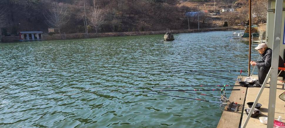 힐링 양평수곡낚시터 2월 마지막주 주말 조황 붕어 방류 (유료터정보 - 유료터점주조황)