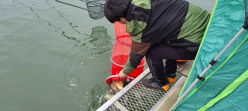 공주 고성낚시터 입니다 (유료터정보 - 유료터점주조황)