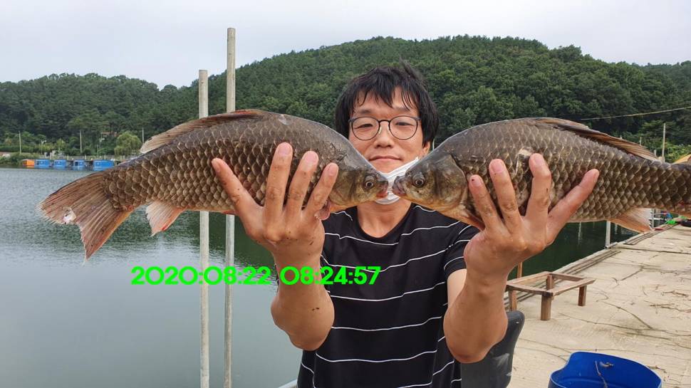 신원낚시터 8월27일 토종붕어 45짜리와 덩어리들 사진입니다 (유료터정보 - 유료터점주조황)