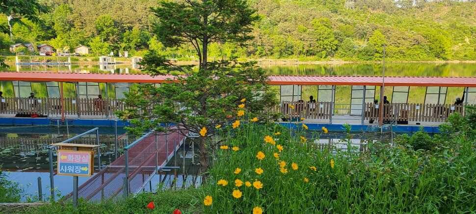 수곡낚시터 어제조황도 씨알고 마릿수가 좀더 늘어나고 있습니다 (유료터정보 - 유료터점주조황)
