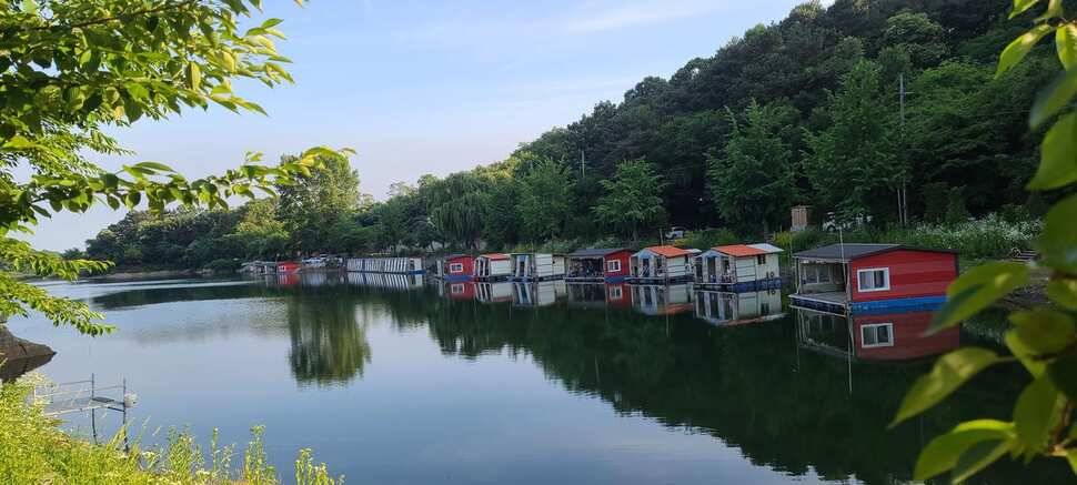 수곡낚시터 상중하류권 모두 고른 조황이 이어집니다 (유료터정보 - 유료터점주조황)