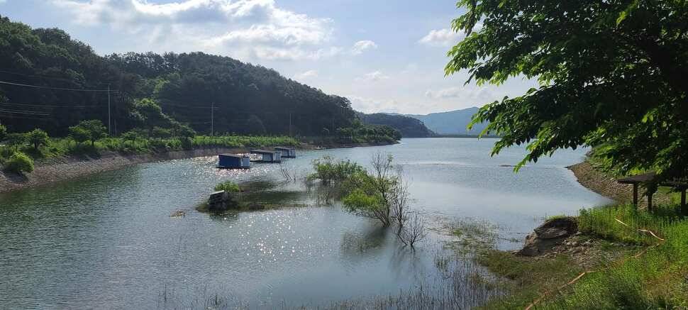 공주 고성낚시터 입니다 (유료터정보 - 유료터점주조황)