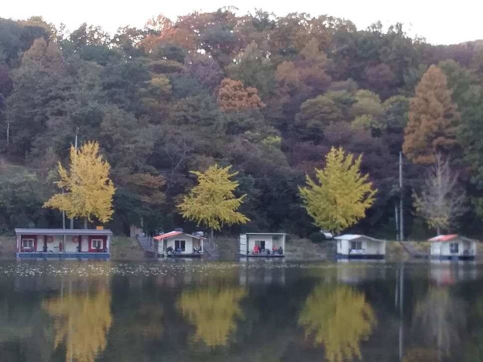 양평 수곡 낚시터 오늘도 자연산 토종붕어 대량 방류 및 조황 안내드려요 (유료터정보 - 유료터점주조황)