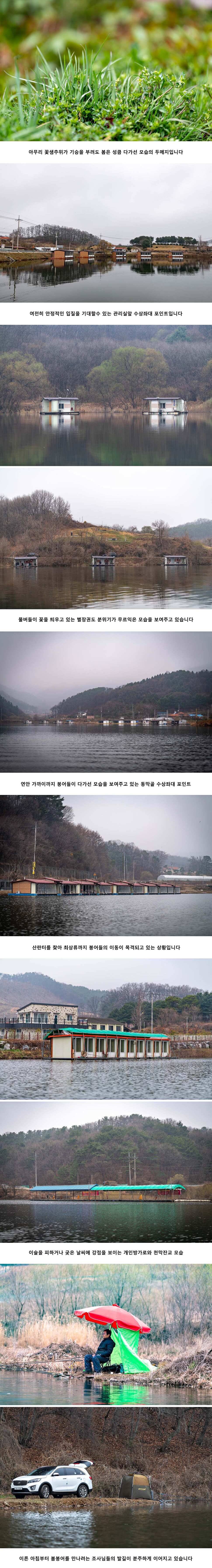 안성 두메낚시터 3월 30일 조황정보 (유료터정보 - 유료터점주조황)