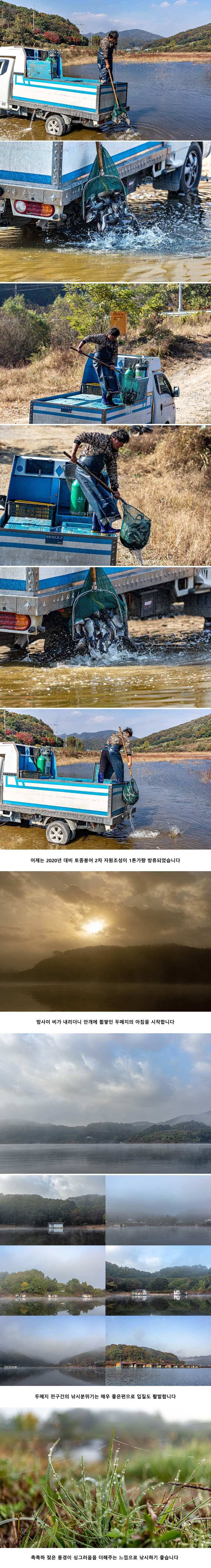 안성 두메낚시터 10월 29일 조황정보 (유료터정보 - 유료터점주조황)