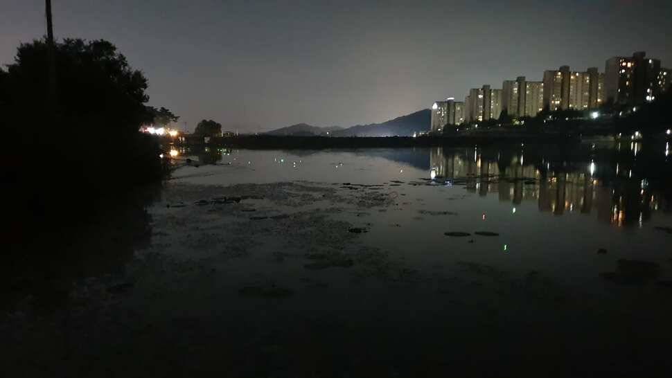 아산 명품 월랑낚시터 8월 세번재 조황이야기입니다 (유료터정보 - 유료터점주조황)