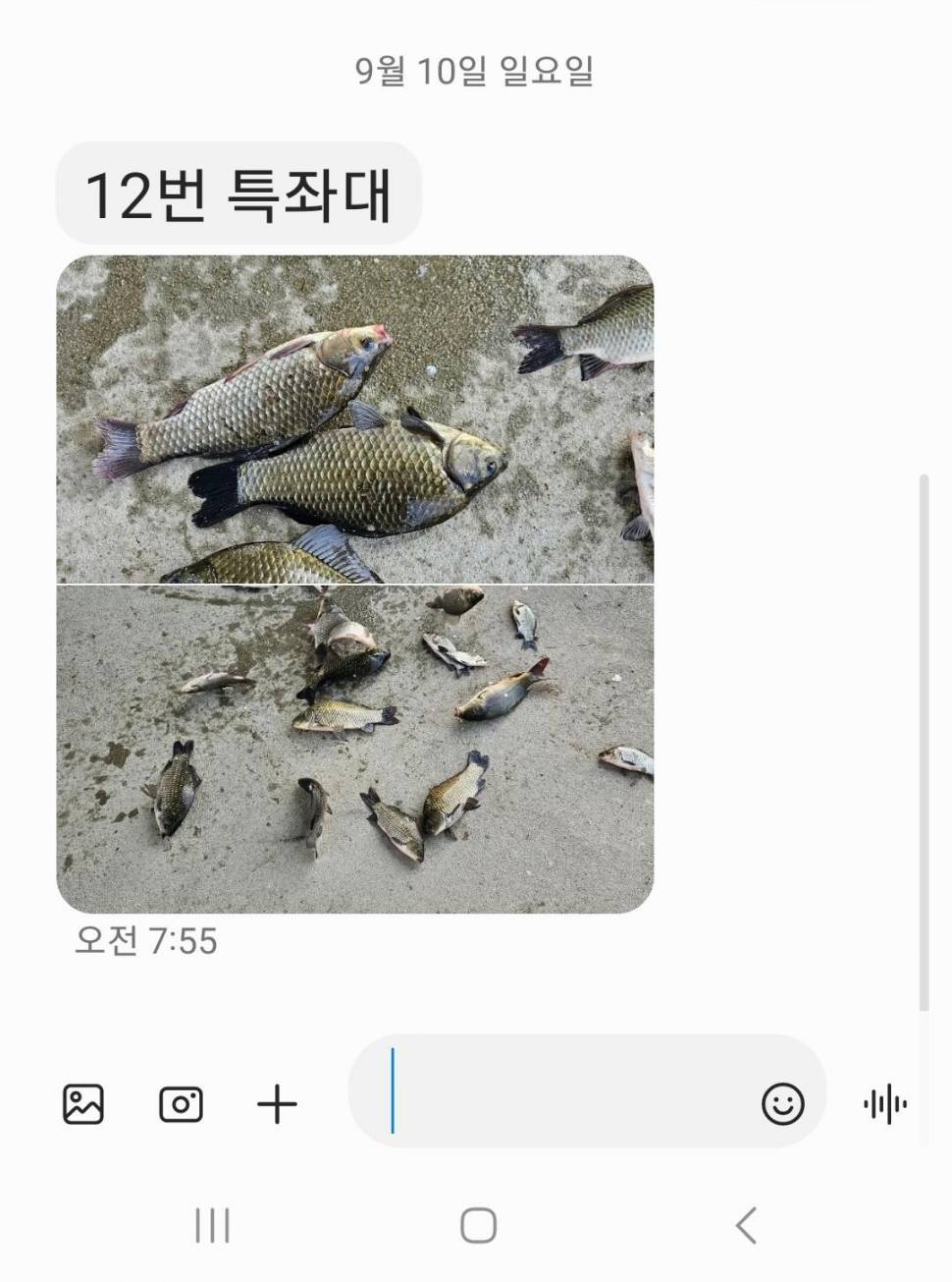 2023년 9월 둘째주 조황정보 용담낚시터사암지 (유료터정보 - 유료터점주조황)