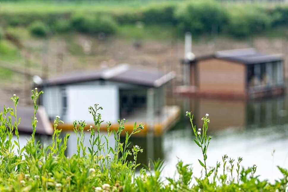 안성 두메낚시터 6월 27일 조황정보 (유료터정보 - 유료터점주조황)