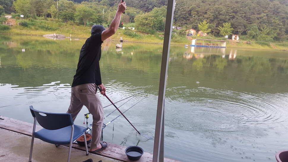 양평 힐링 수곡낚시터 8월 29일 조황 및 붕어방류 안내 (유료터정보 - 유료터점주조황)