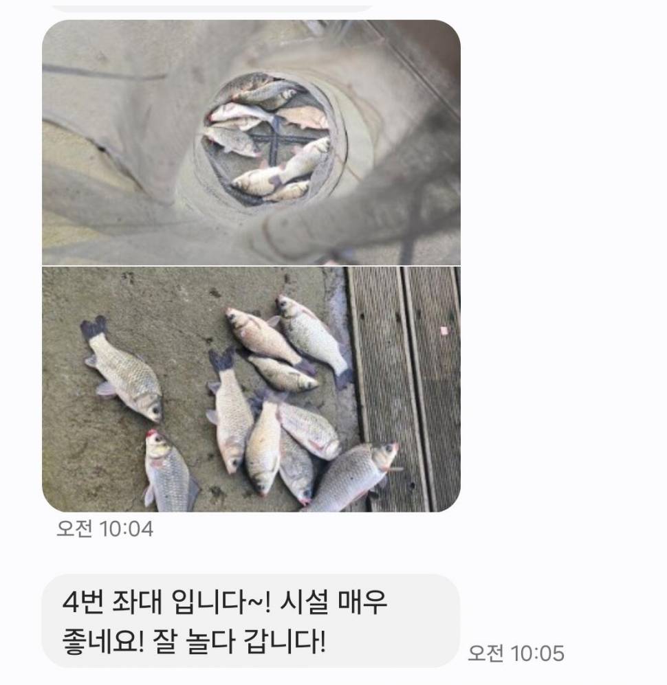 2024년 8월 첫째주 조황정보 용담낚시터사암지4짜 5마리 (유료터정보 - 유료터점주조황)