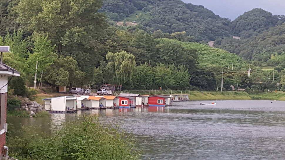 힐링 양평 수곡낚시터 목금요일 편차가 많아 고른 조황이 나오지 못했네요 오늘 붕어방류 완료 (유료터정보 - 유료터점주조황)