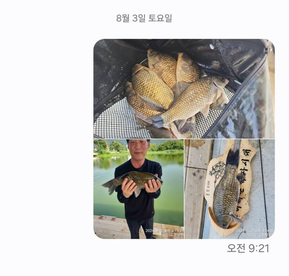 2024년 8월 둘째주 조황정보 용담낚시터사암지4짜 3마리 (유료터정보 - 유료터점주조황)