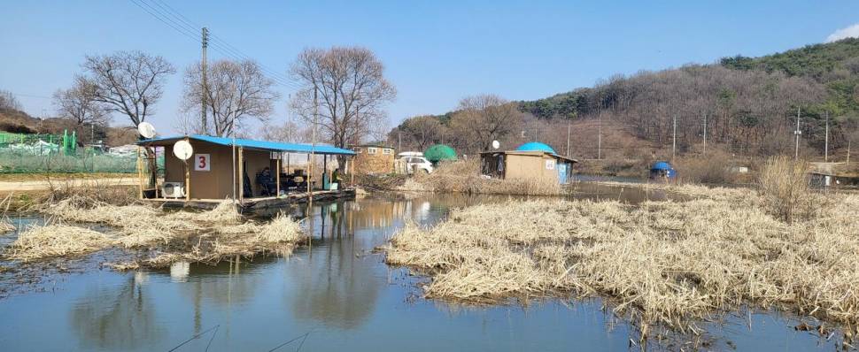 당진 가교리 낚시터 3월 23일 조황입니다 (유료터정보 - 유료터점주조황)