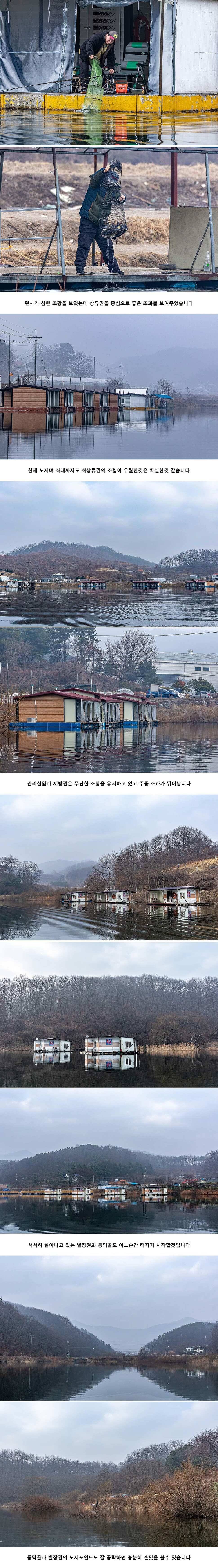 안성 두메낚시터 3월 1일 조황정보 (유료터정보 - 유료터점주조황)