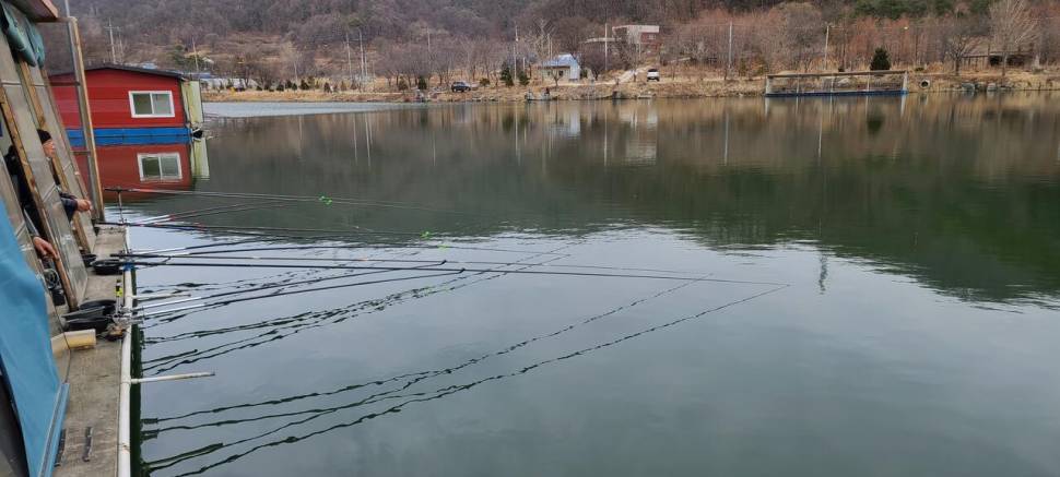힐링 양평수곡낚시터 2월 마지막주 주말 조황 붕어 방류 (유료터정보 - 유료터점주조황)