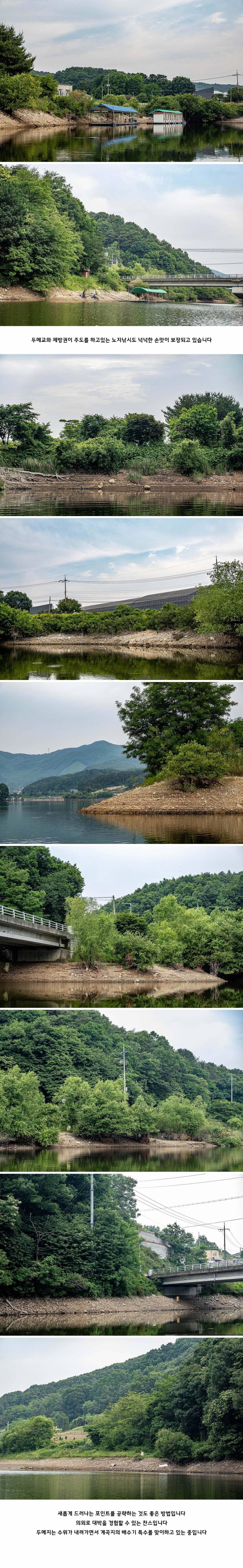안성 두메낚시터 6월 6일 조황정보 (유료터정보 - 유료터점주조황)