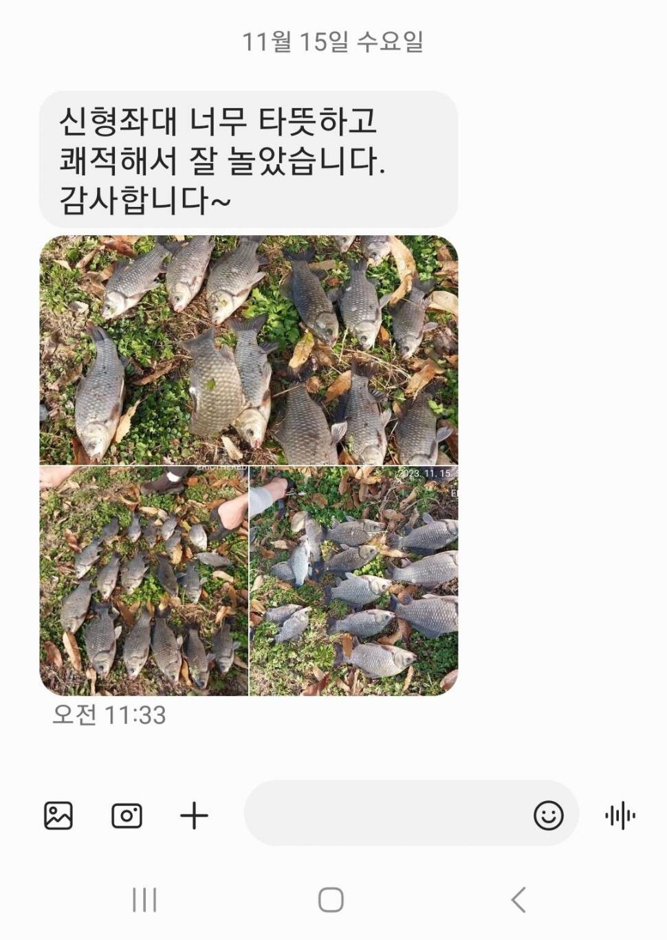 2023년 11월 셋째주 조황정보 용담낚시터사암지 (유료터정보 - 유료터점주조황)