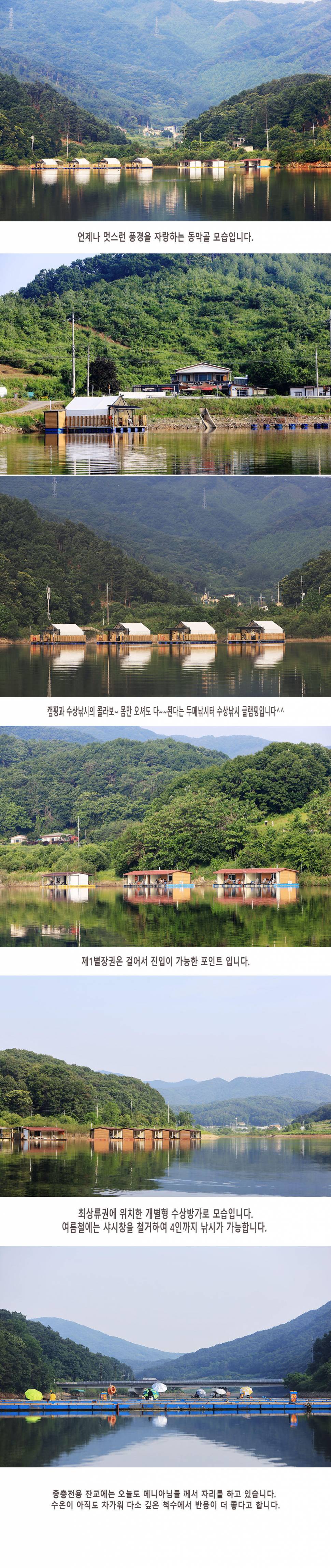 안성 두메낚시터 6월8일 조황안내 (유료터정보 - 유료터점주조황)