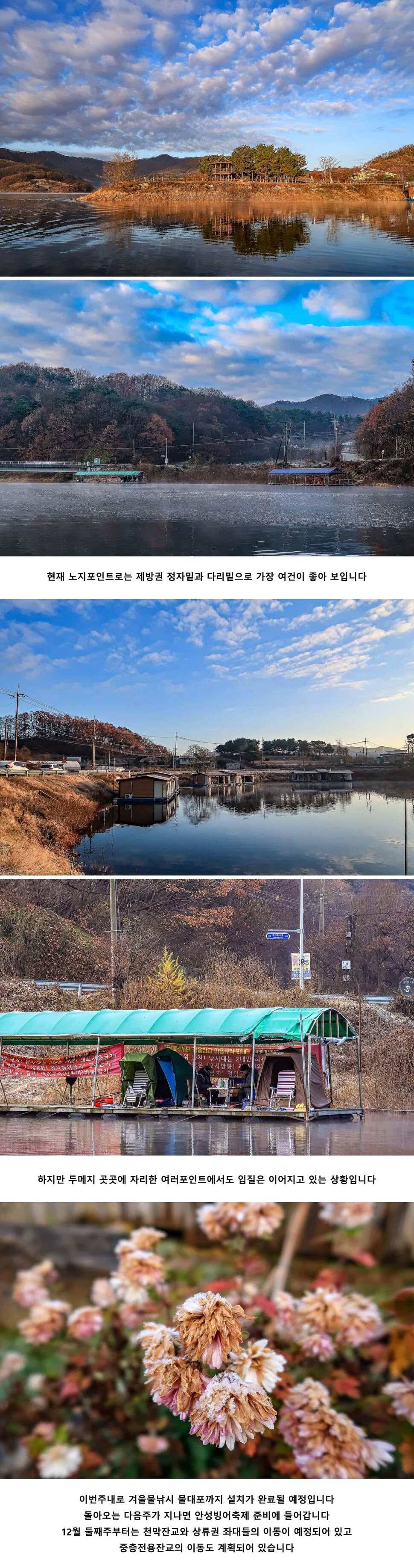 안성 두메낚시터 11월 26일 조황정보 (유료터정보 - 유료터점주조황)
