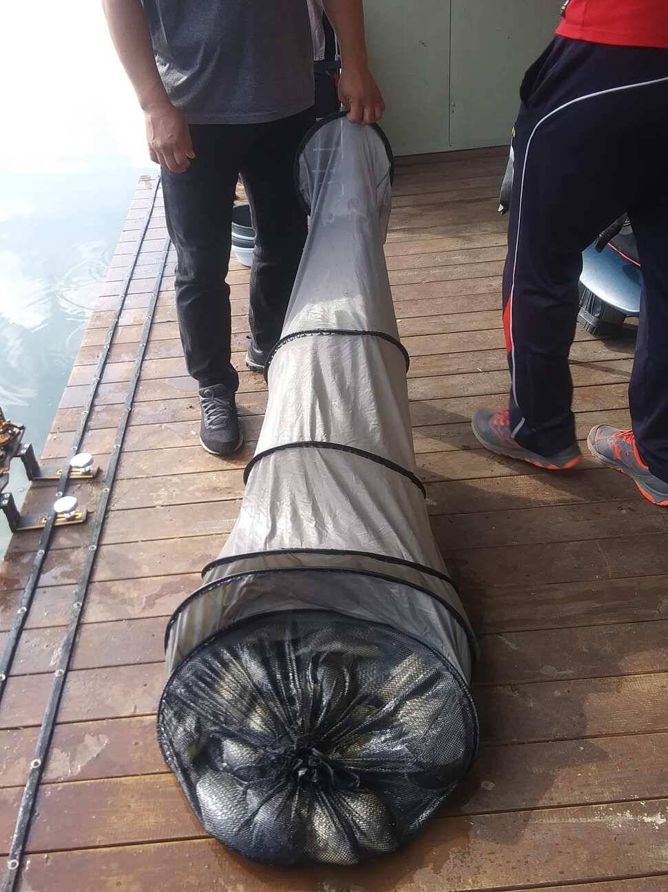 양평 힐링 수곡낚시터 어제 조황도 큰편차없이 고르게 괜찬았습니다 내일도 붕어방류 이어집니다 (유료터정보 - 유료터점주조황)