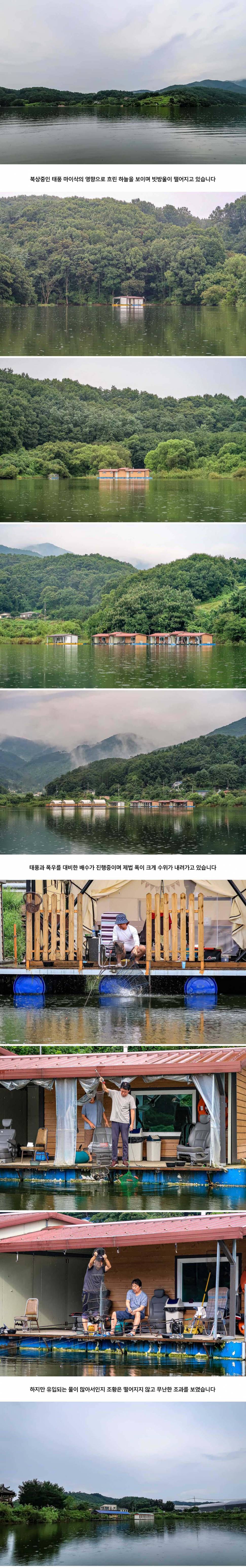 안성 두메낚시터 9월 2일 조황정보 (유료터정보 - 유료터점주조황)