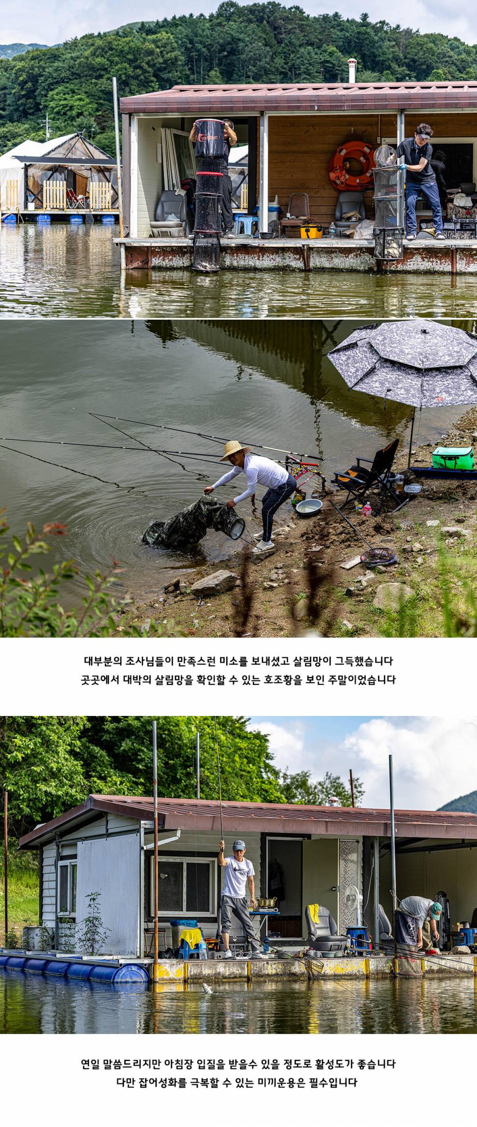 안성 두메낚시터 6월 29일 조황정보 (유료터정보 - 유료터점주조황)