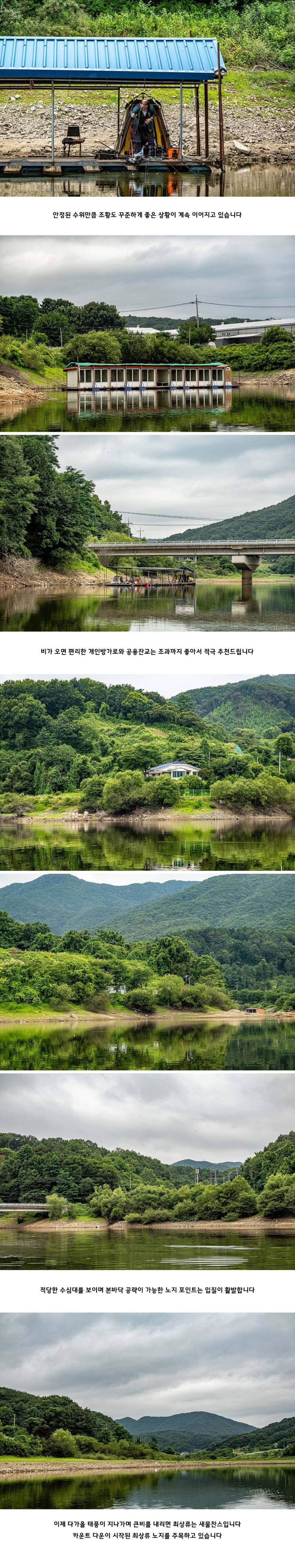 안성 두메낚시터 7월 1일 조황정보 (유료터정보 - 유료터점주조황)