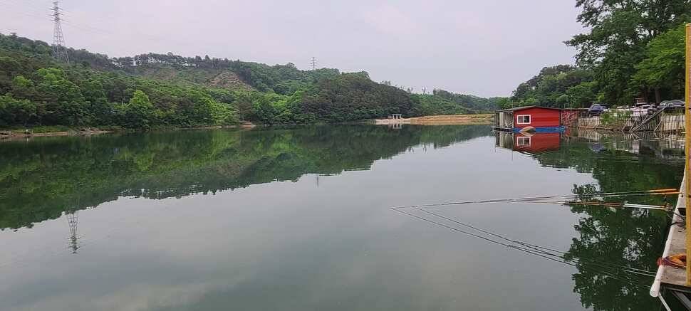 수곡지 양평 수곡낚시터 5월네째주 주말 조황 입질시간대 파악이 중요한듯합니다 (유료터정보 - 유료터점주조황)