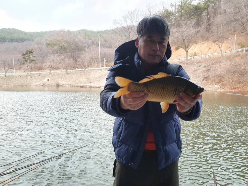 공주 고성낚시터 입니다 (유료터정보 - 유료터점주조황)