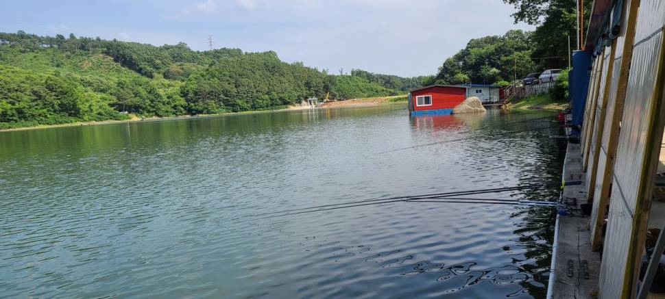 수곡지 수곡낚시터 피서낚시 주중 73 조황 및 붕어방류 안내 (유료터정보 - 유료터점주조황)