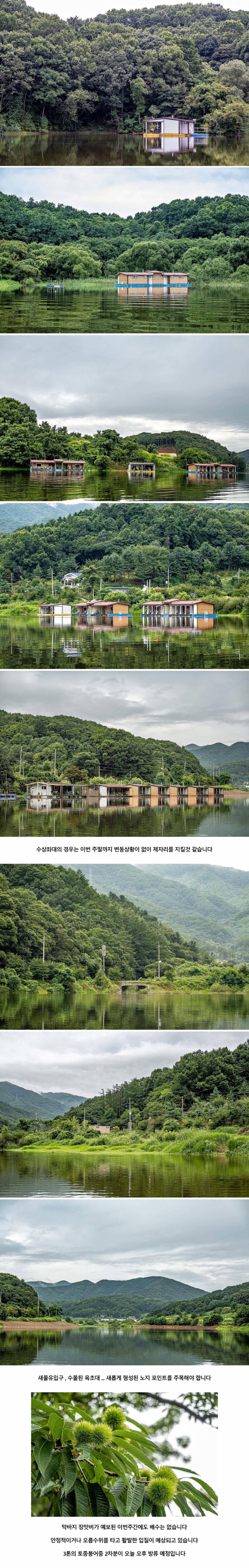 안성 두메낚시터 7월 28일 조황정보 (유료터정보 - 유료터점주조황)