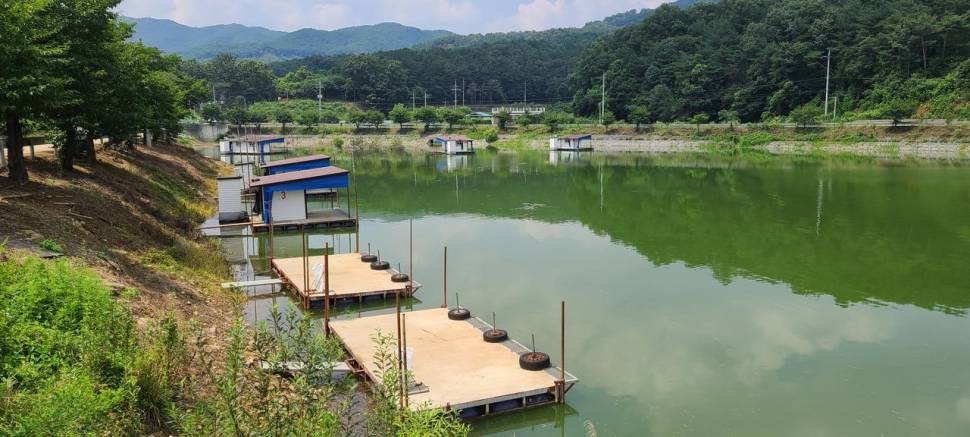 공주 고성낚시터 입니다 (유료터정보 - 유료터점주조황)