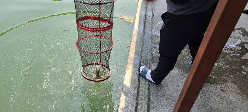 공주 고성낚시터 입니다 (유료터정보 - 유료터점주조황)