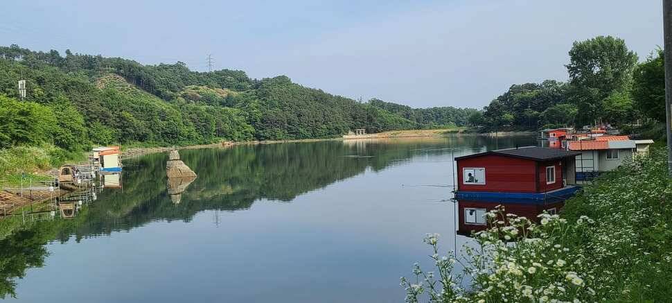 수곡낚시터 6월16일 주중 조황 및 금일 붕어 방류 완료하였습니다 (유료터정보 - 유료터점주조황)
