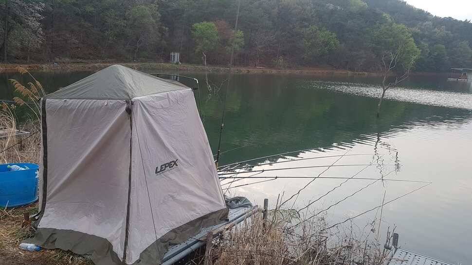 꽝없는 토종터 어우실지 모든조사님 월척을 하셨읍니다 (유료터정보 - 유료터점주조황)