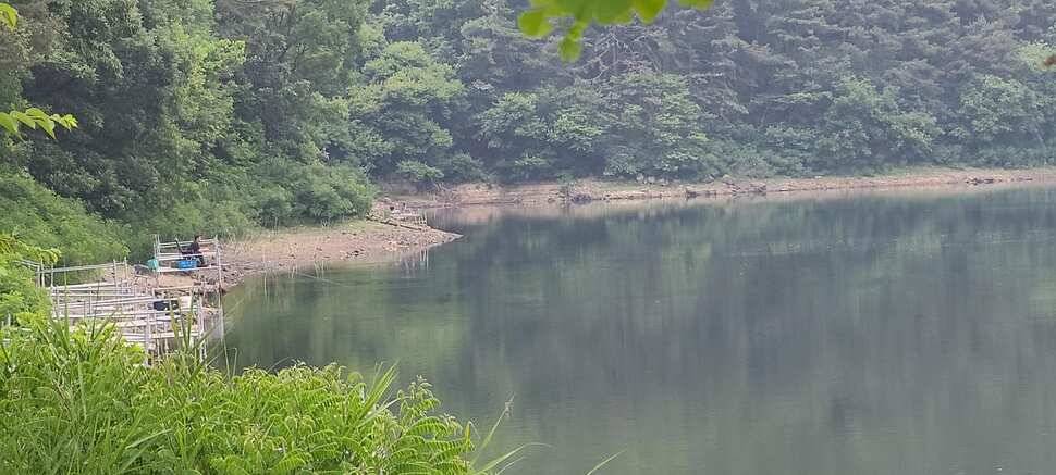여름 피서 수곡낚시터 6월네째주 화요일 조황 안내 (유료터정보 - 유료터점주조황)