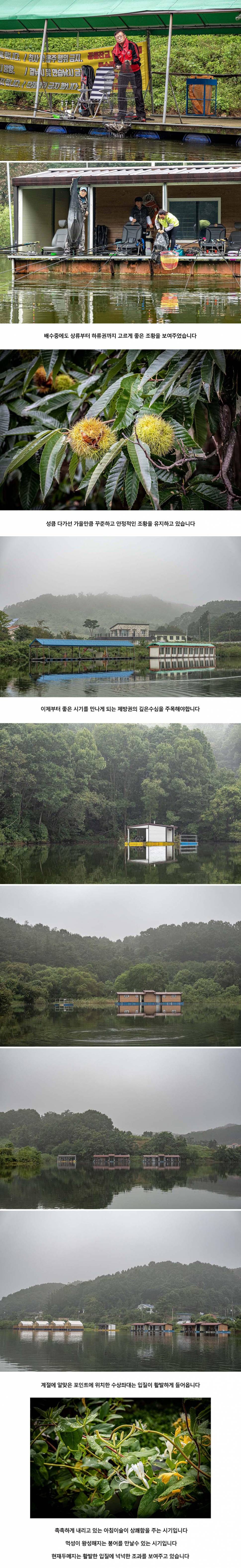 안성 두메낚시터 9월 10일 조황정보 (유료터정보 - 유료터점주조황)